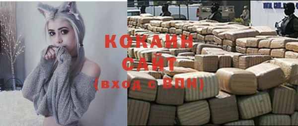 индика Зеленодольск